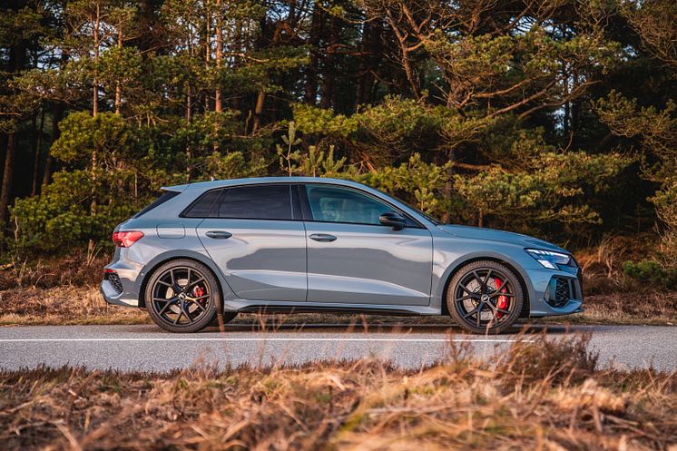 Audi RS 3 Sportback - statisk