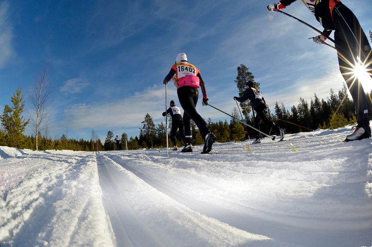 Vasaloppets vintervecka 2016 lockade rekordmånga anmälda deltagare