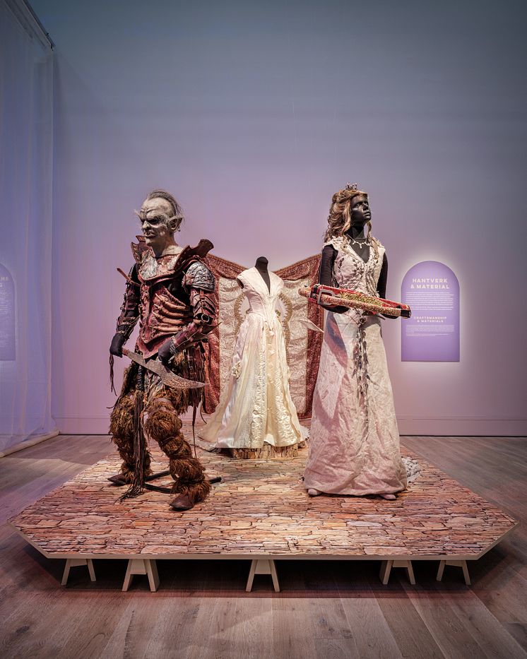 Cosplay Chronicles Sörmlands museum