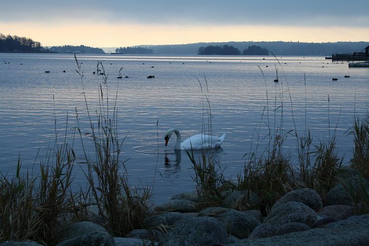 Nasbyviken-kvall-vid Villa Svalnäs