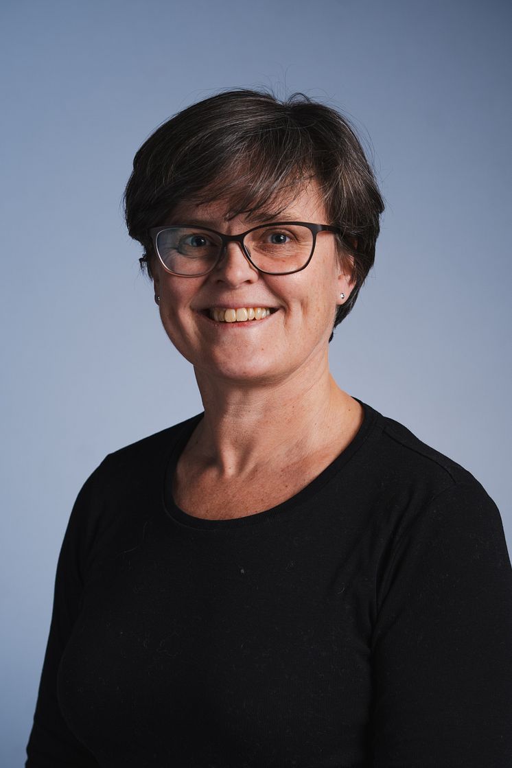Vibeke Villum