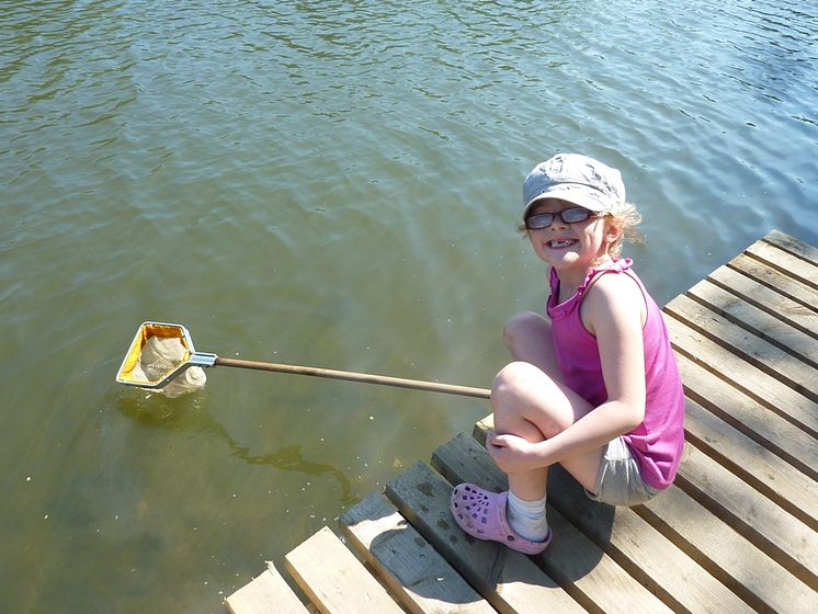 Pond Dipping at Redbank Lodges