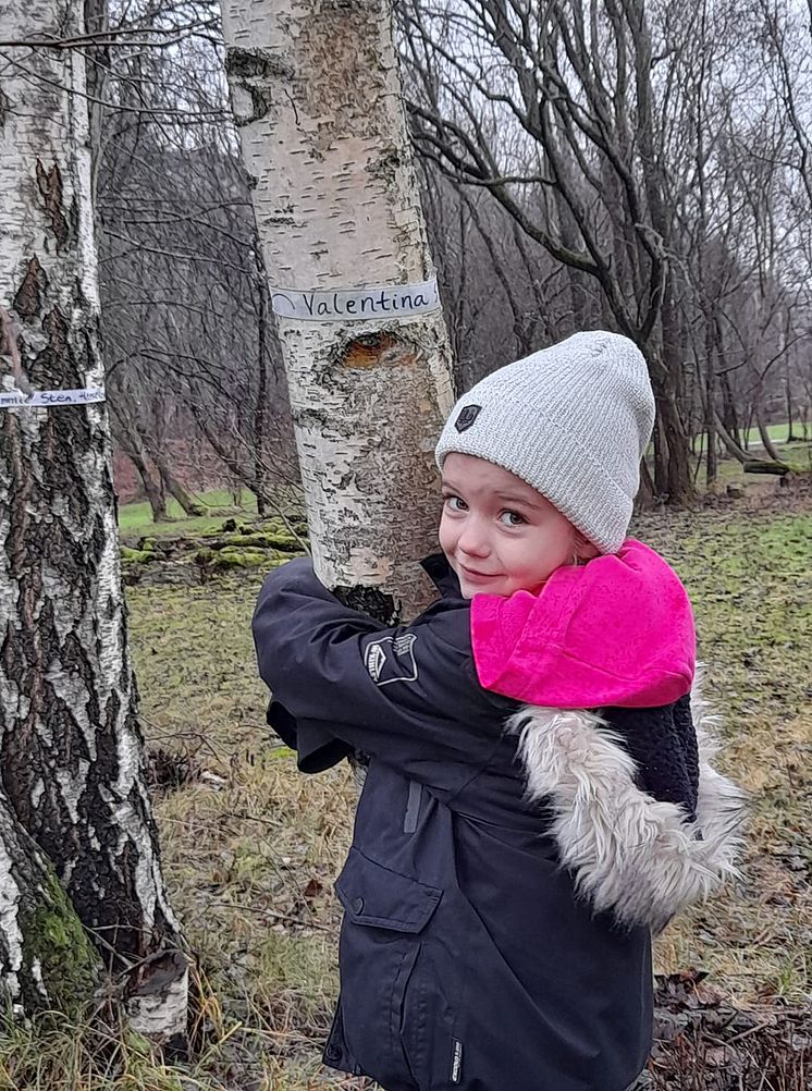 Trädmassaker planeras i prisbelönt park