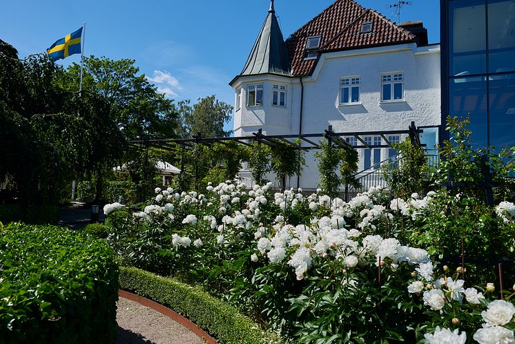 Villa Wikland, idag Kiviks hotell. Foto_ Kiviks hotell