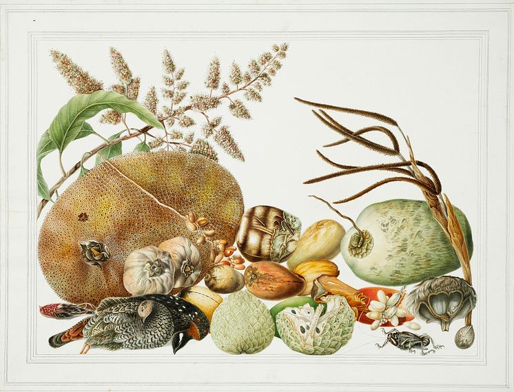 Stilleben med frugt, grøntsager og en fugl, ca. 1820.