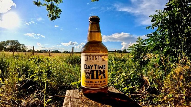 LagunitasDayTime