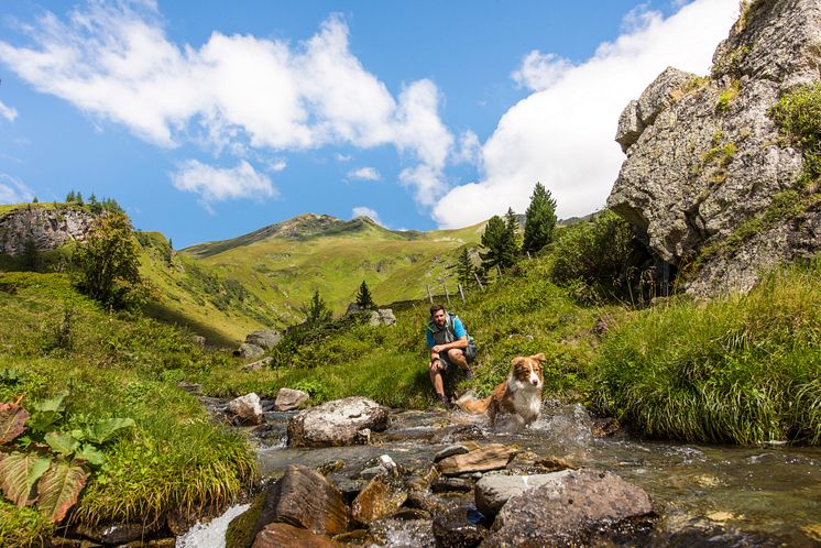 2019-08-06 Wandern mit Hund im NPHT