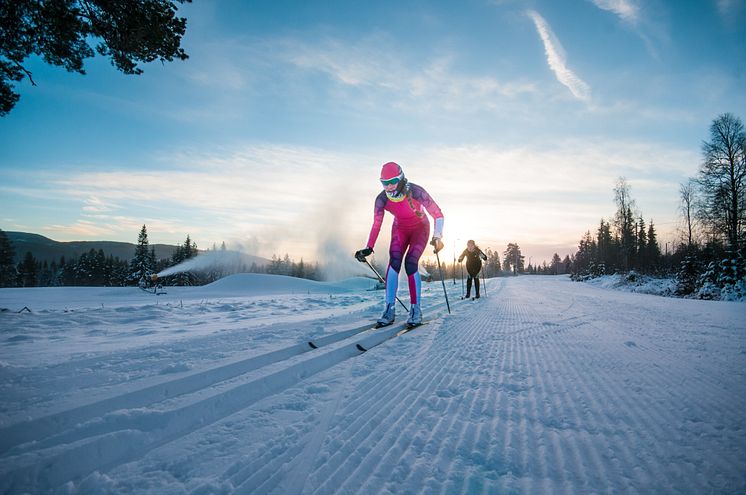 Mange klubber og landslag velger Trysil