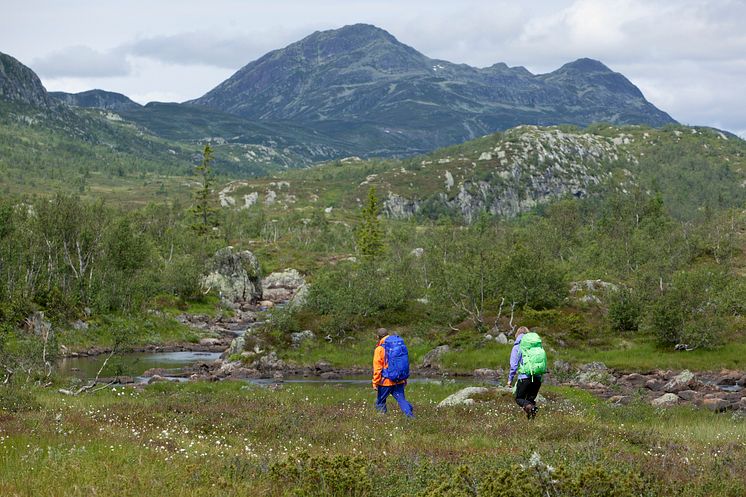 Foto: Bergans/Fredrik Schenholm