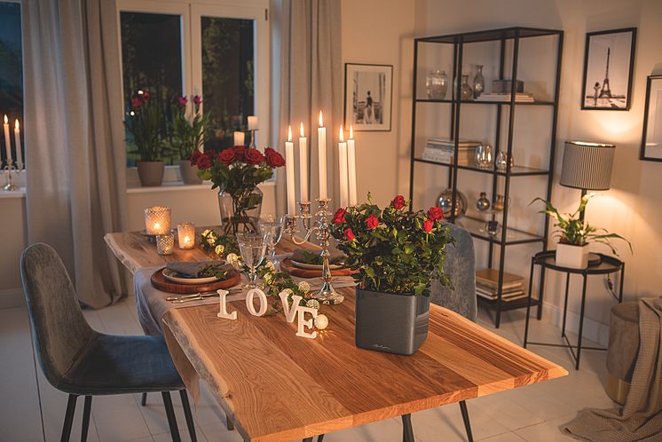 Let Love Grow - Bunte Blumen zum Valentinstag