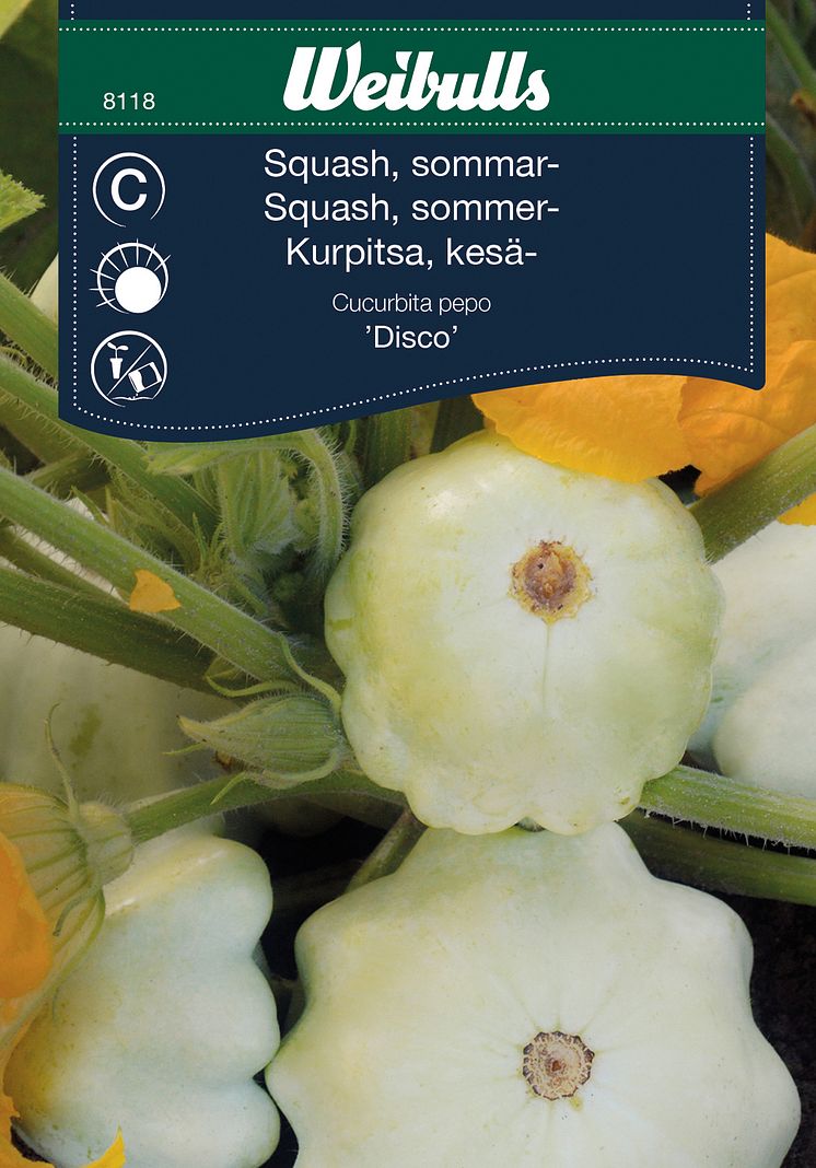 8118_squash_sommar