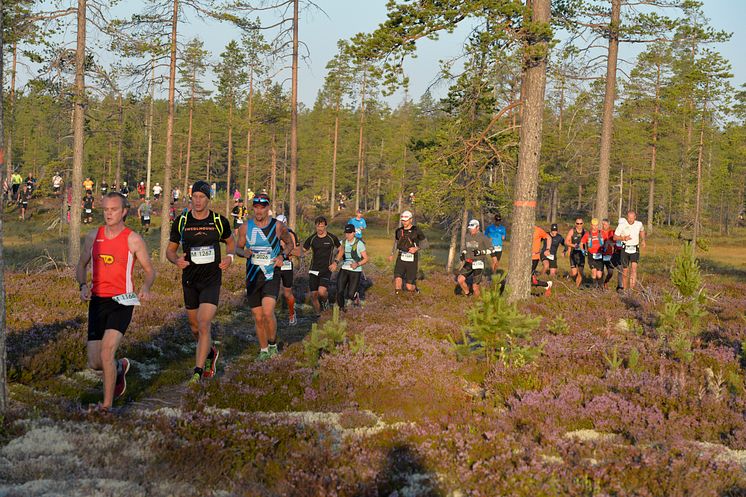 Ultravasan 2015. Sveriges största ultralopp. Från Sälen till Mora, 90 km.