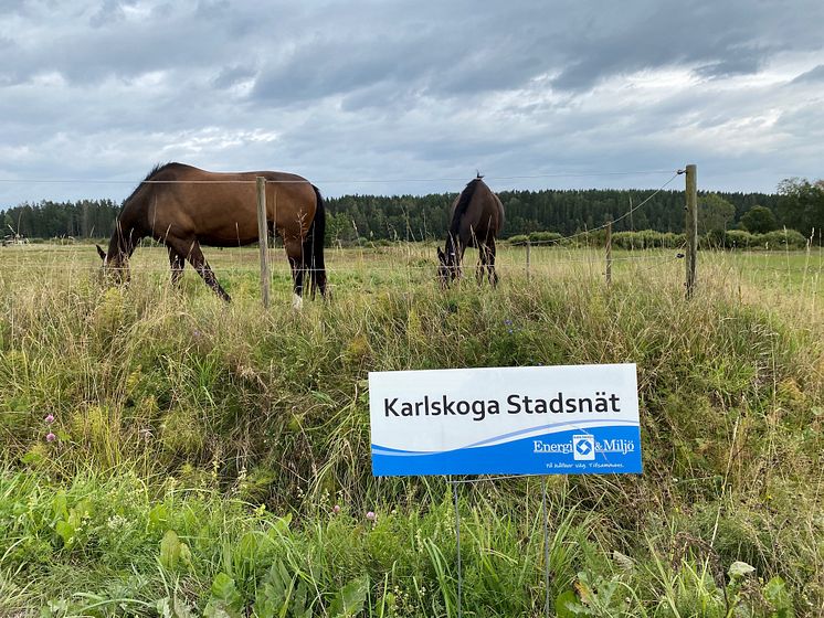 Fiber på landsbygden