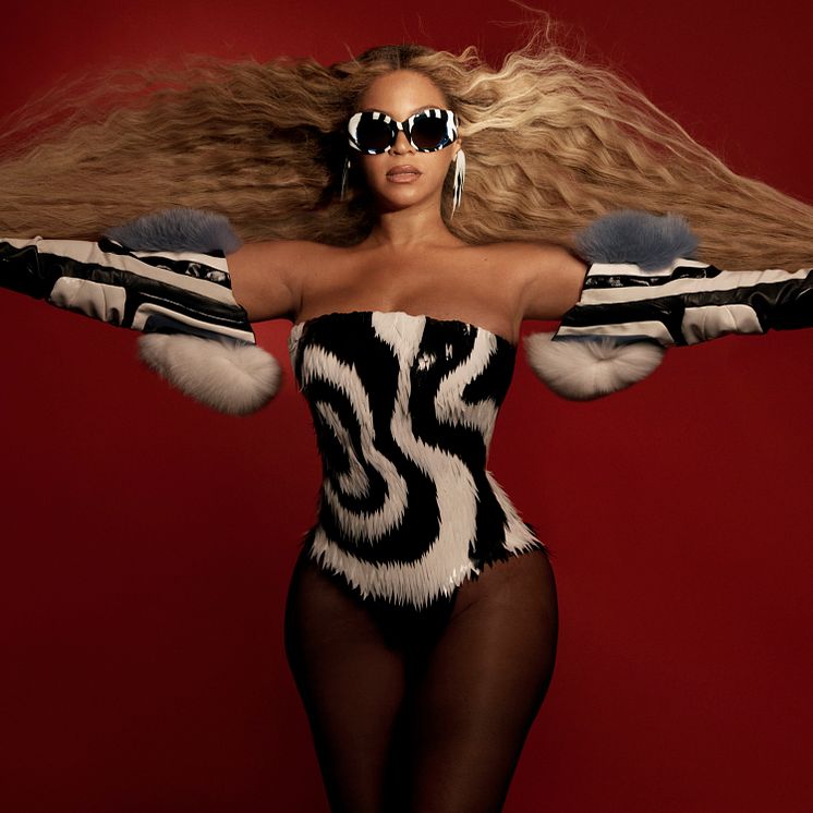 Beyoncé pressbild 1