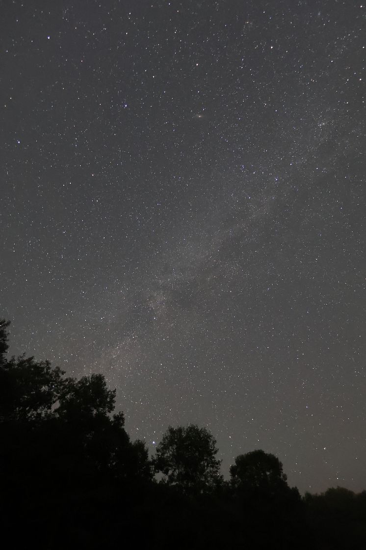Canon PowerShot V1_CINC_Sample_Stars[1].jpg