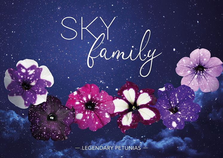 SKYfamily 