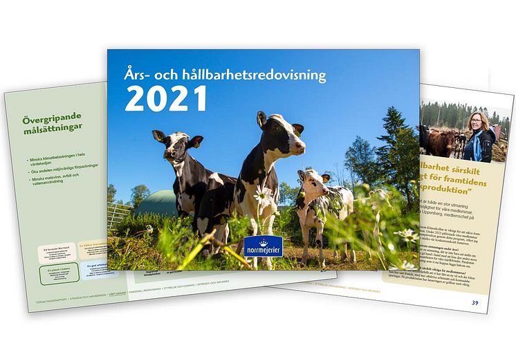 Årsredovisning 2021 webb 2.jpg