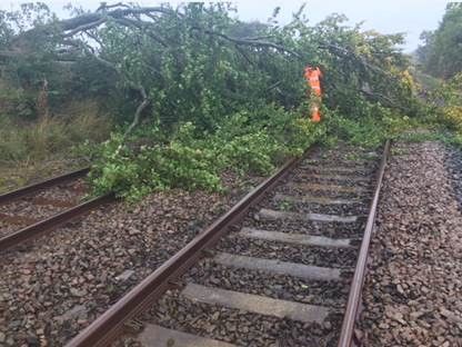 Example of a tree on the line