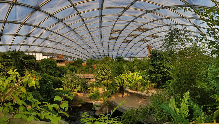 Panoramaaufnahme Tropenerlebniswelt Gondwanaland