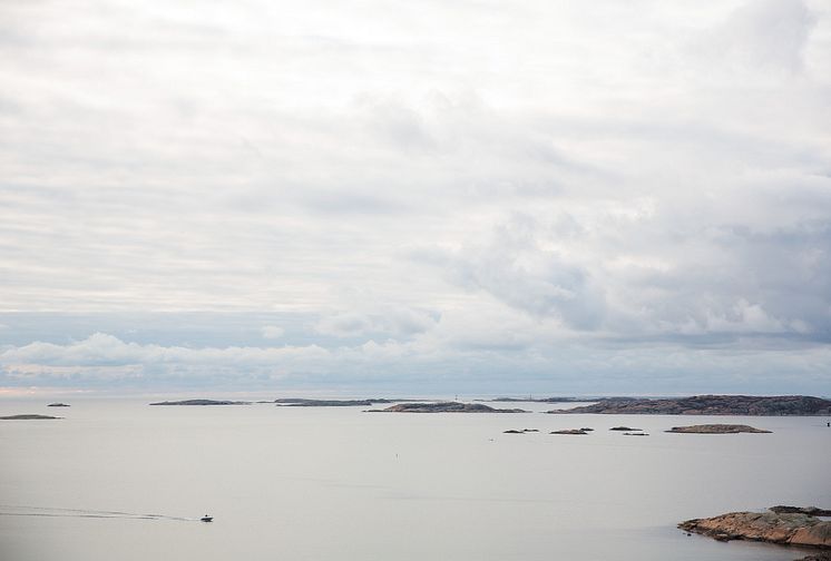 HaV föreslår nytt arbetssätt för att nå bevarandemål i marina skyddade områden till 2020 