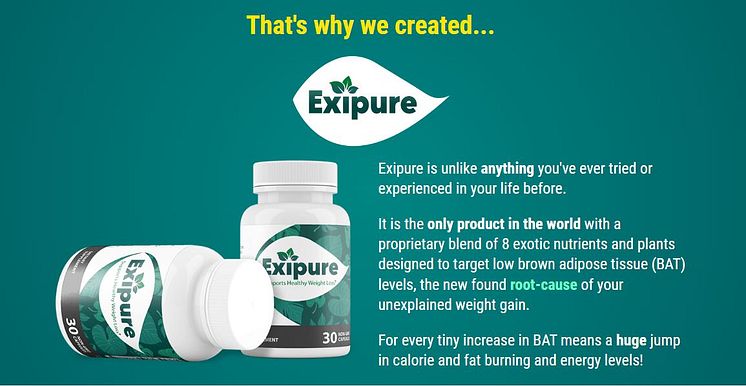 Exipure South Africa Reviews