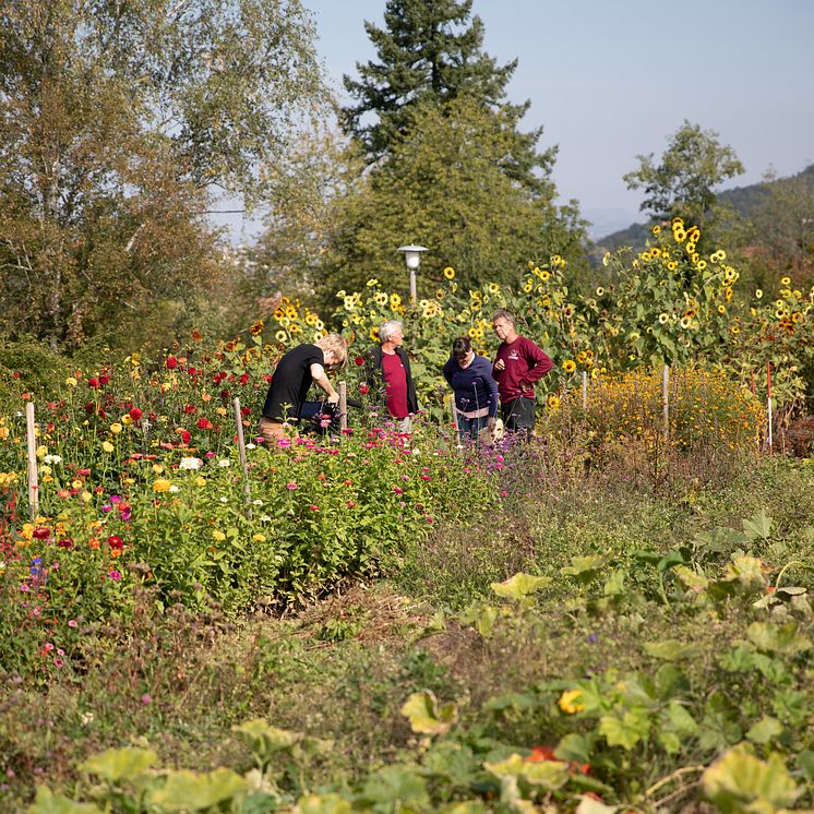 Living Farms Goetheanum Gartenpark Garden Park Blumen Flowers_Jasmin Peschke