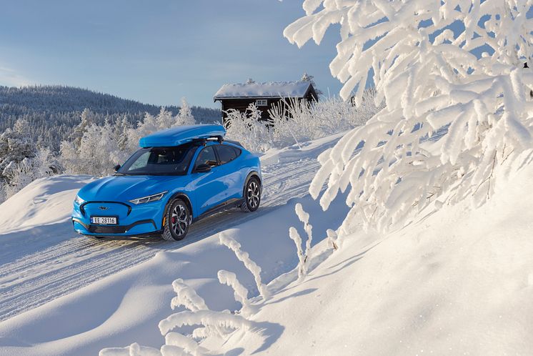 Ford Mustang Mach-E Vinter 2022