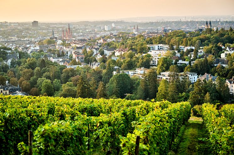 Blick_über_Wiesbaden_vom_Neroberg.jpg
