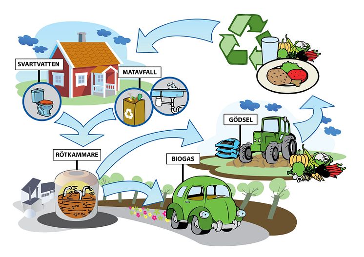 Svartvatten och matavfall återanvänds som biogas och växtnäring i ett kretslopp