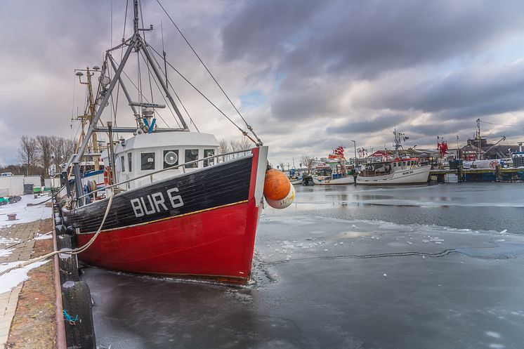 Fischkutter in Burgstaaken im Winter