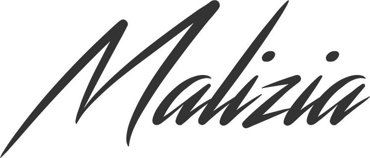 Logo Team Malizia