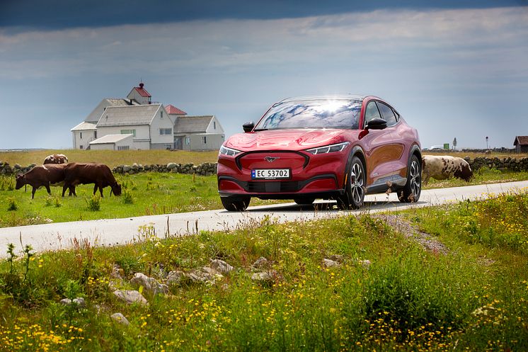 Ford Mustang Mach-E 2021