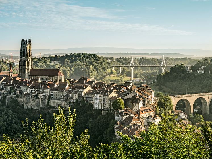 Kathedrale mit Altstadt, Fribourg