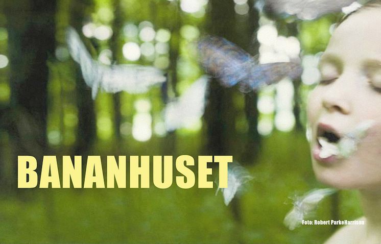 Bananhuset