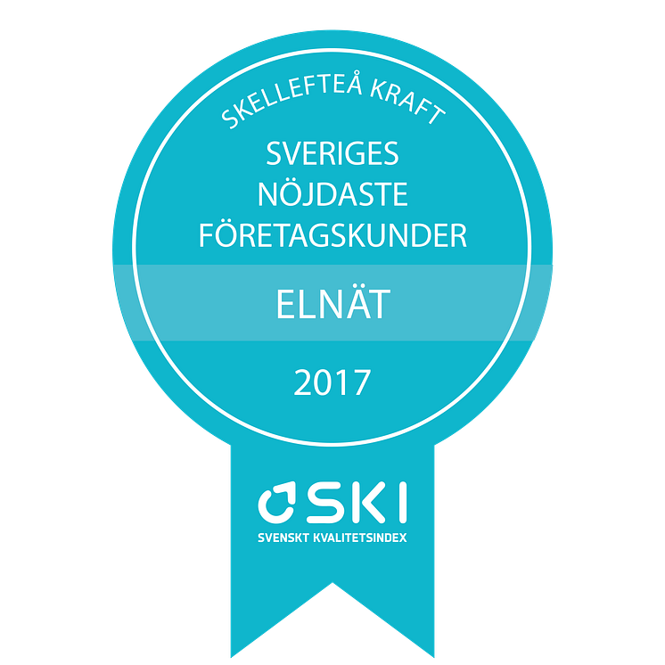 Medaljer SKI Elnät B2B 2017