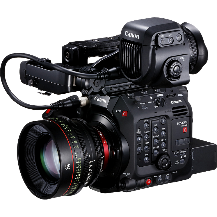 Gallery-EOS C500 Mark II (12)