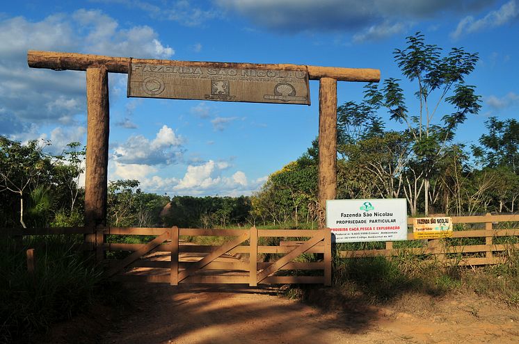 Amazonas