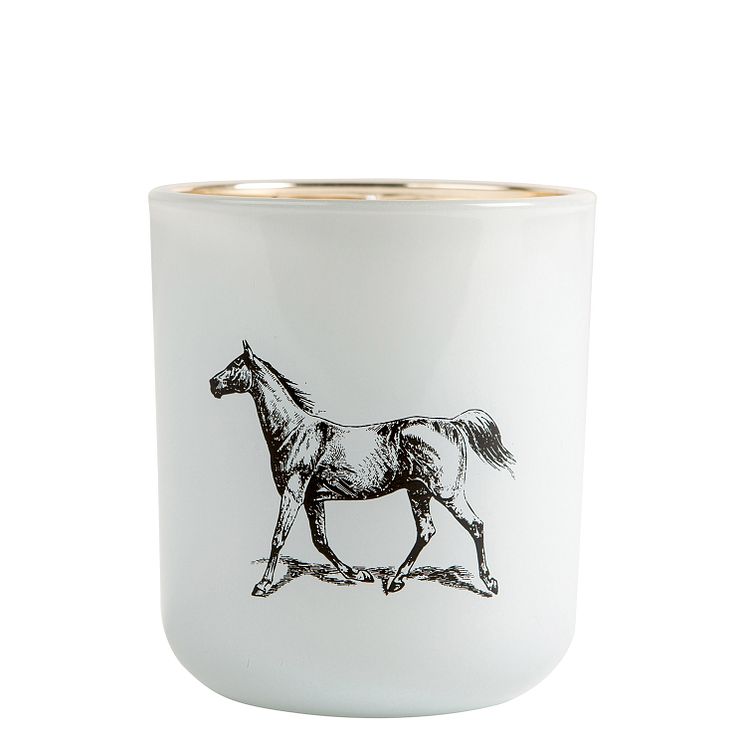 924-071tr  POZZI HORSE collection serendipity