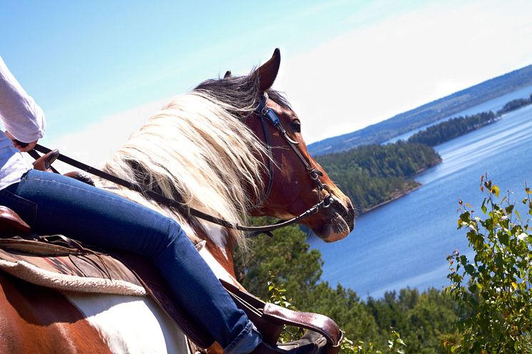 Upptäck Dalsland från hästryggen