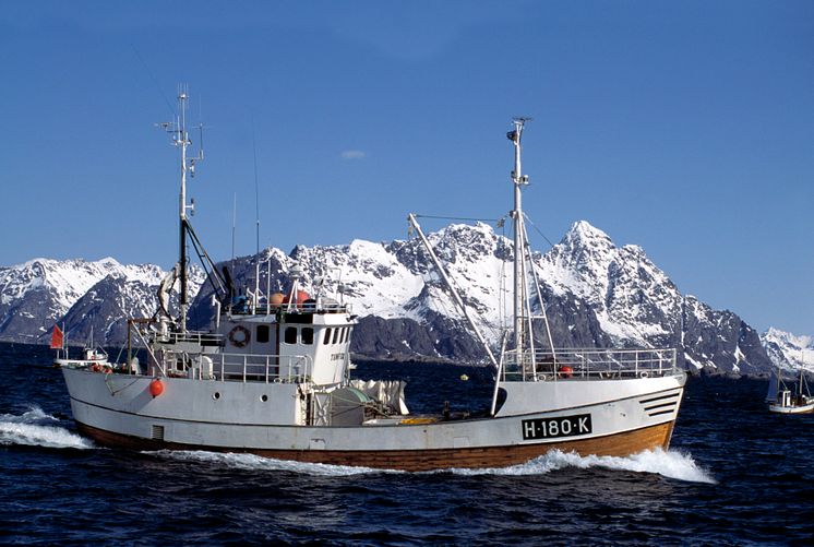 Fiskebåt Lofoten