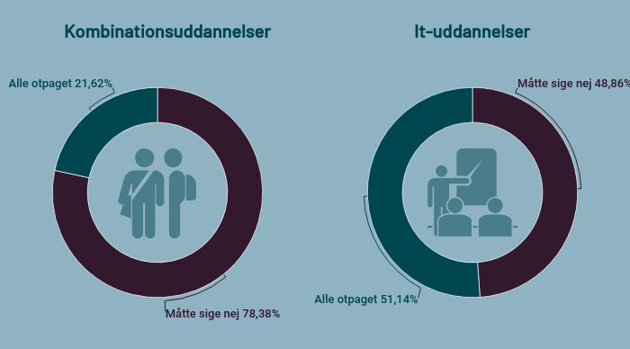 ansoegere-paa-it-uddannelser