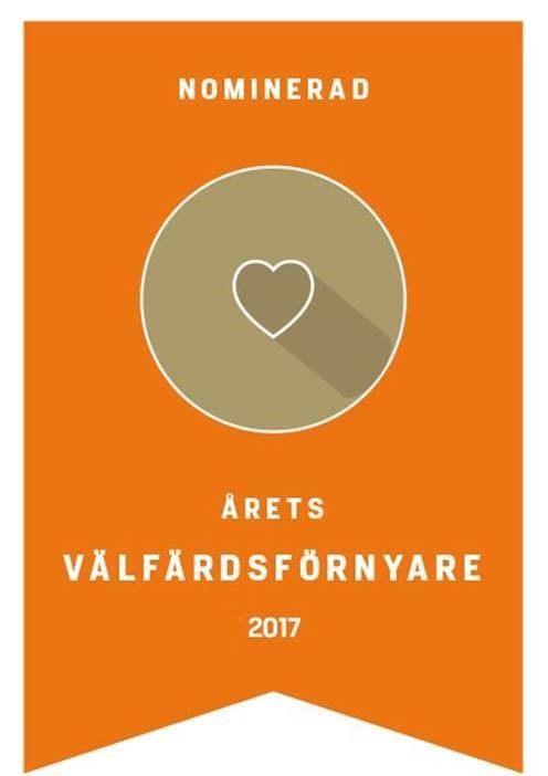 Stora samhällsgalan