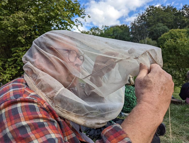 Leta insekter i håv Foto Anders Tukler