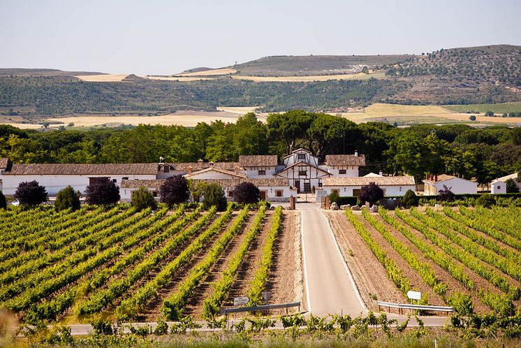 Best Winery in Spain 2019 - Bodega Dehesa de Los Canónigos 