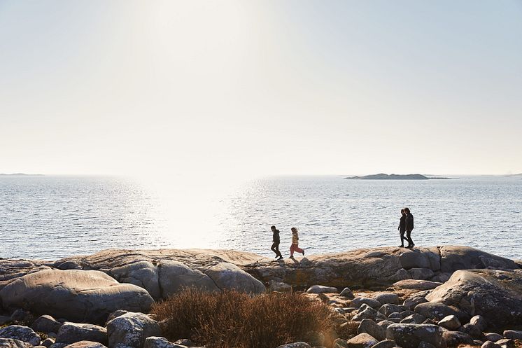 Vrangö VEst Sverige  Jonas Ingman (kopia)