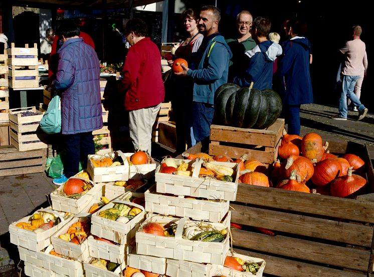 Bauernmarkt_2018_Presse_@Kiel-Marketing (4)