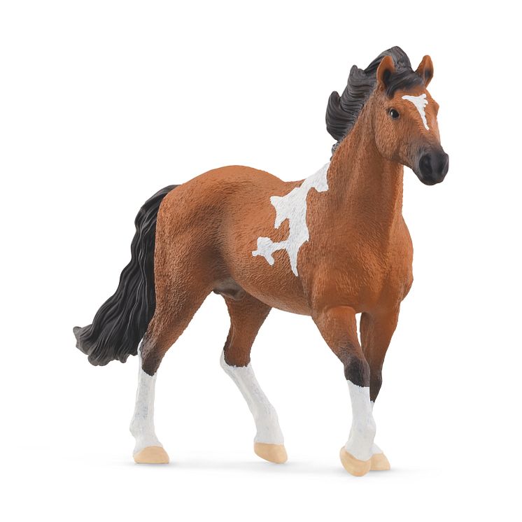 13978_Horse Club_Mangalarga Marchador Hengst (c)Schleich