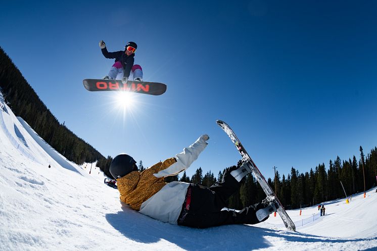 artikelbild snowboard