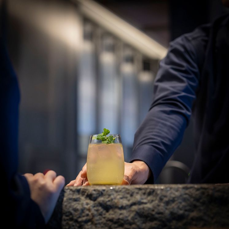 RISTASIX (Cocktails)