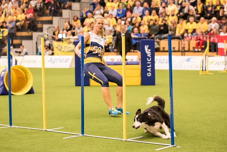 AWC2018TeamSwedenLFriday2.jpg